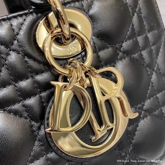 Tony Luxuries D-JOY BAG-26*13.5*5CM LADY diro 0507